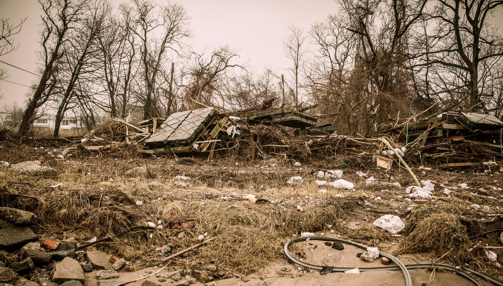 art-of-sandy-mo-staten island 2-87.jpg